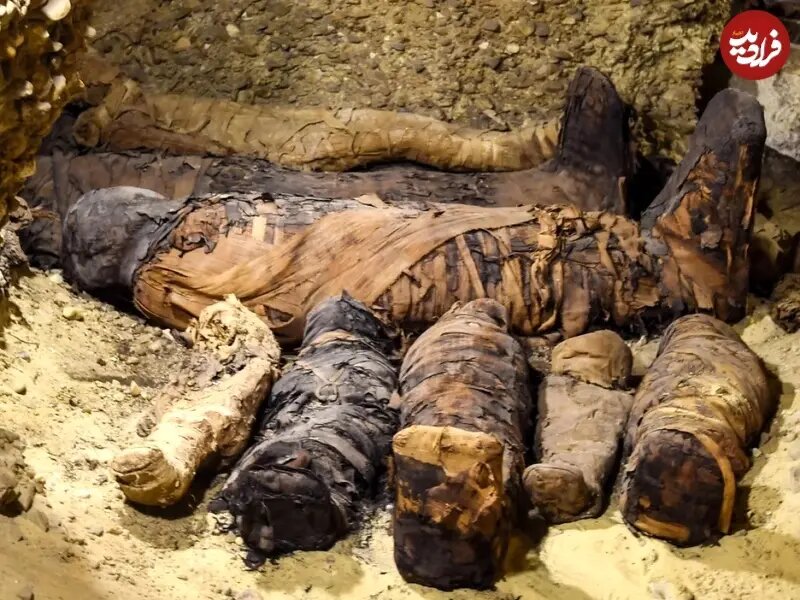 کشف یک قبر خانوادگی بزرگ با ۵۰ جسد مومیایی شده | تصاویر