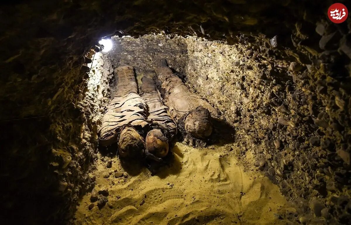 کشف یک قبر خانوادگی بزرگ با ۵۰ جسد مومیایی شده | تصاویر