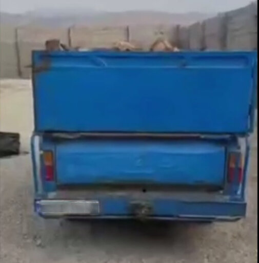 ماجرای نیسان پر از بلوط‌ های قطع شده در اندیمشک | فرمانده یگان حفاظت خوزستان: علاوه بر متخلف با مامورانی که کوتاهی کرده‌ اند هم برخورد می‌ کنیم