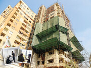 سرو دوباره می‌ایستد