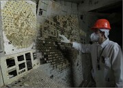 مهمان ناخوانده چرنوبیل | قارچ سیاه چطور زنده مانده است