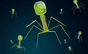 استخراج عناصر کمیاب خاک به کمک فناوری | ویروسی که معدنچی می‌شود