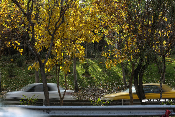 تهران در انتظار پاییز