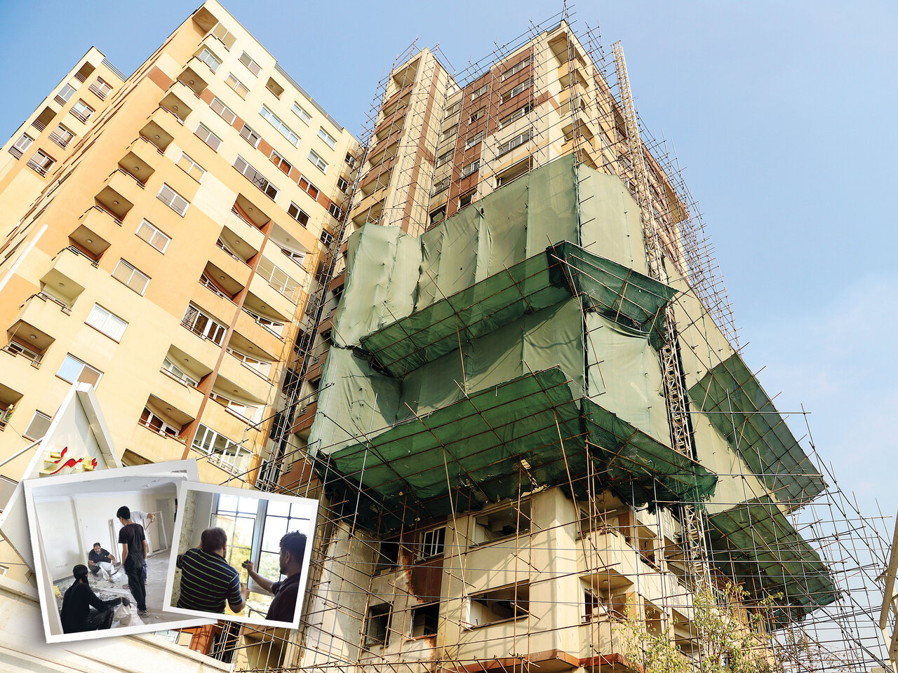 مجتمع اساتید سرو