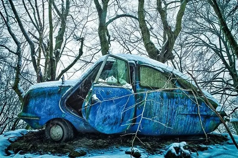 زیبایی وهم‌انگیز خودروهایی که با طبیعت یکی شده‌اند | عکس
