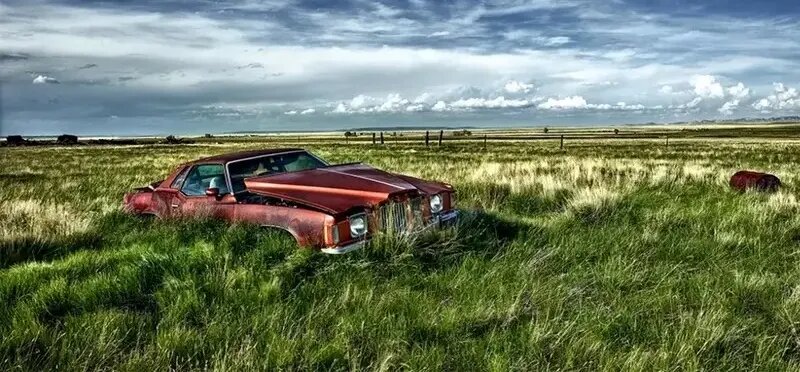 زیبایی وهمانگیز خودروهایی که با طبیعت یکی شدهاند | عکس