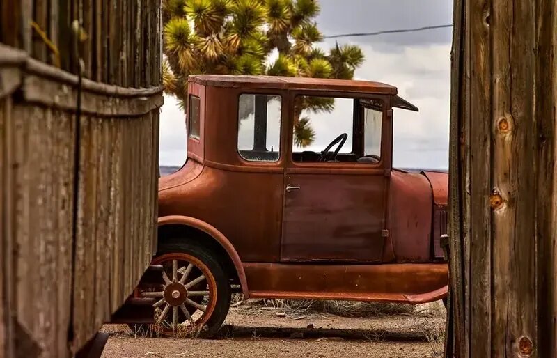 زیبایی وهم‌انگیز خودروهایی که با طبیعت یکی شده‌اند | عکس