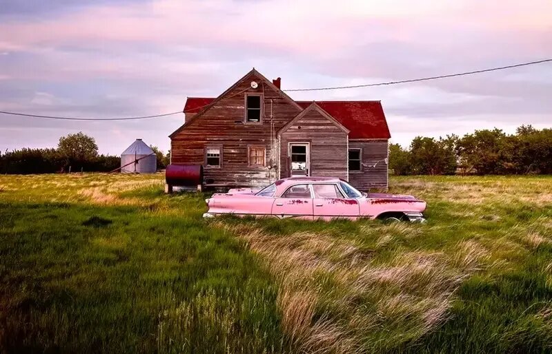 زیبایی وهم‌انگیز خودروهایی که با طبیعت یکی شده‌اند | عکس