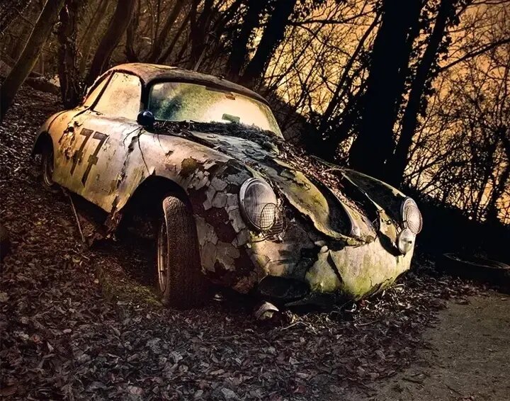 زیبایی وهمانگیز خودروهایی که با طبیعت یکی شدهاند | عکس