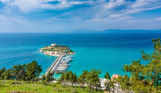 خرید و بازارهای محلی