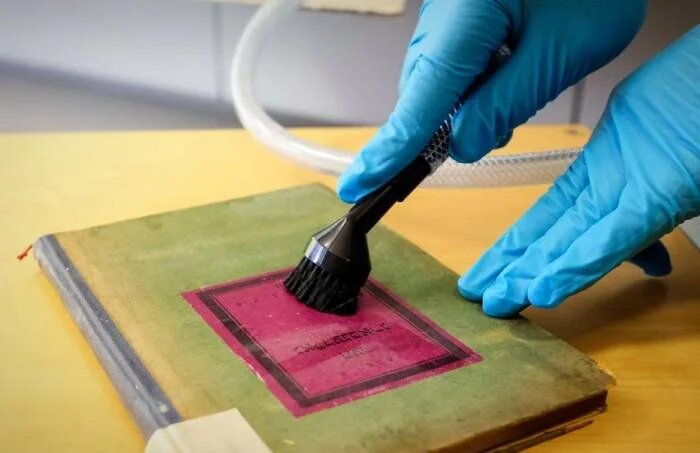 چطور کتاب‌ها را بدون آسیب زدن تمیز کنیم؟ ؛ راهکارهای ساده تمیز کردن کتاب در خانه