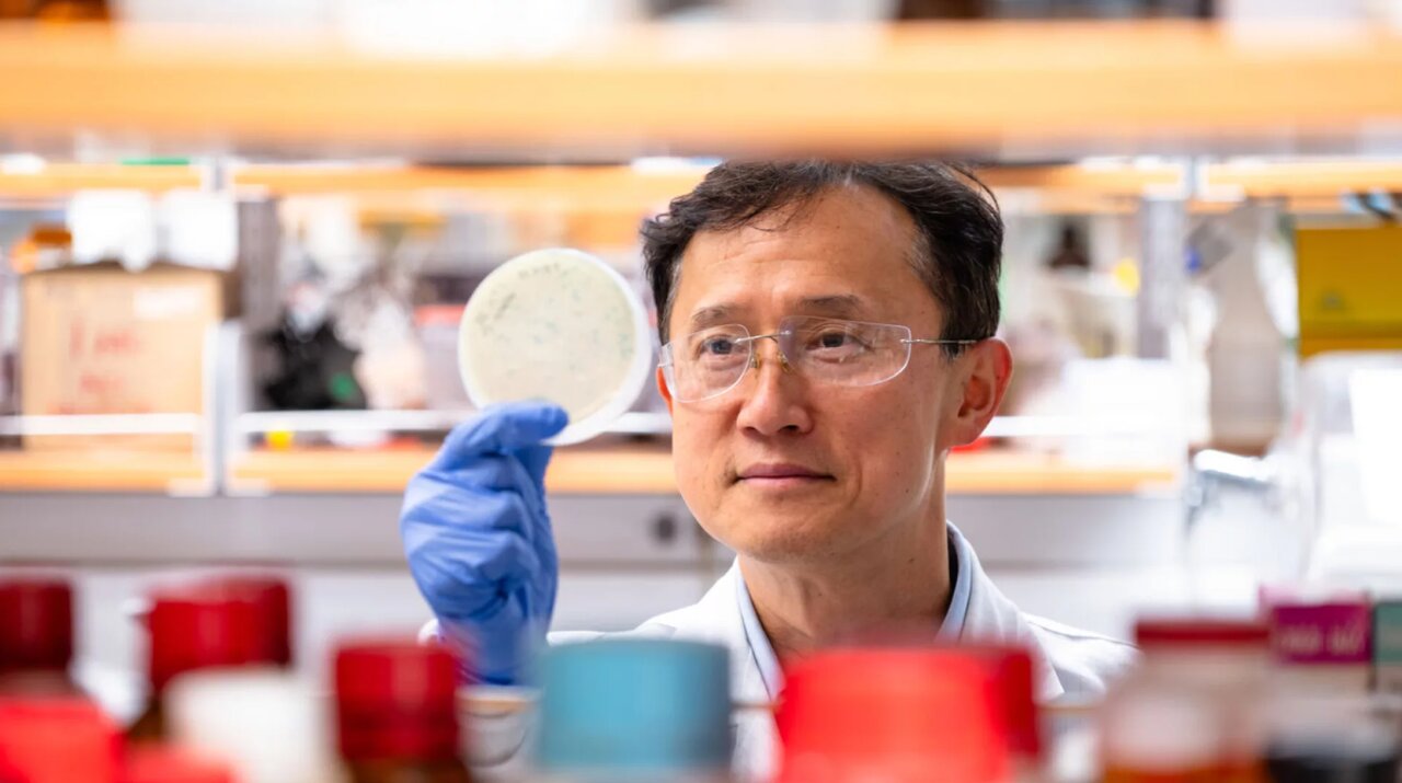 استخراج عناصر کمیاب خاک به کمک فناوری | ویروسی که معدنچی می‌شود