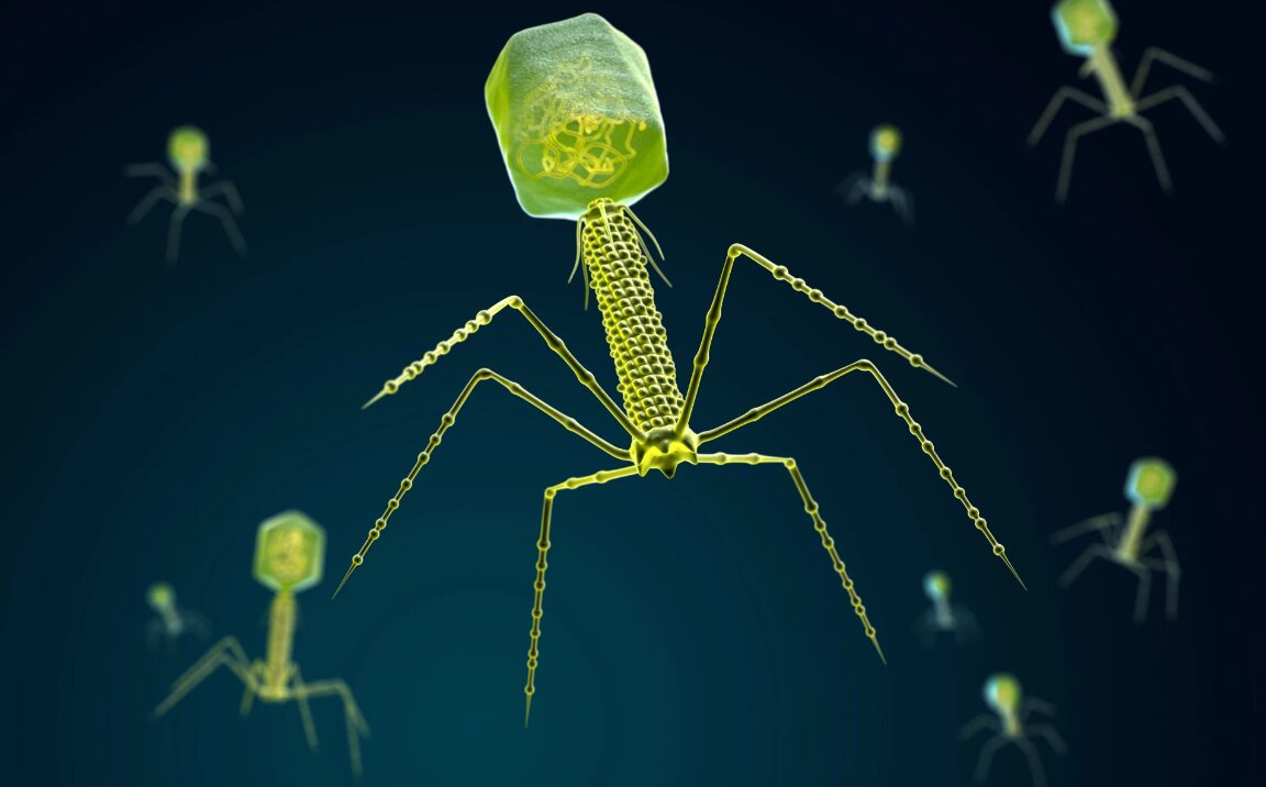 ویروس معدنچی