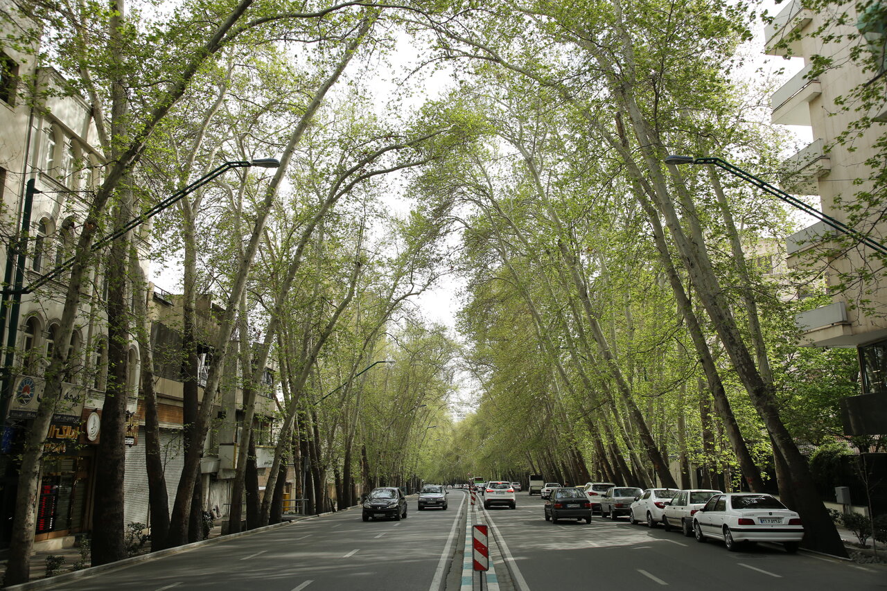 زیباترین خیابان های ایران را ببینید
