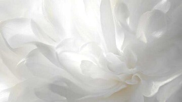 چگونه رنگ سال ۲۰۲۶ را در استایل شخصی به کار ببریم؟