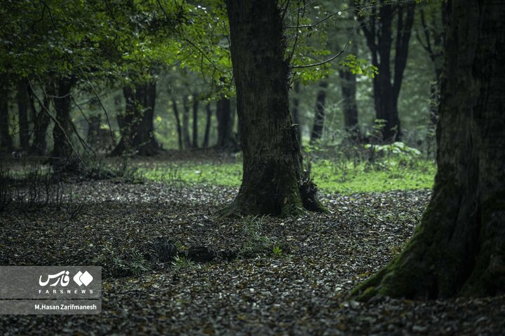 تمرين يگان ويژه فاتحي