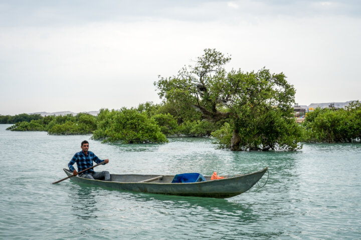 روستای سهیلی؛ نگین جزیرهای که زمین و دریا به آغوش هم رسیدهاند!