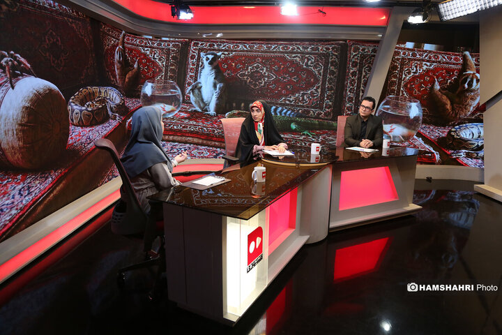 عجیب وغریب های خانگی