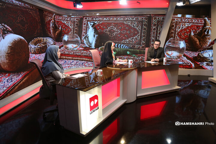 عجیب وغریب های خانگی