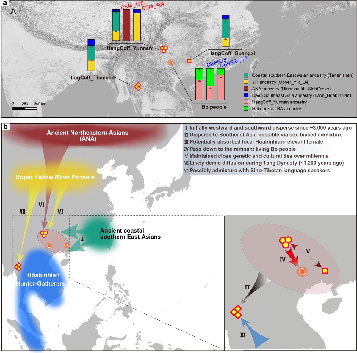 شناسایی نژاد مردگان دفن شده در تابوتهای معلق باستانی! | عکس