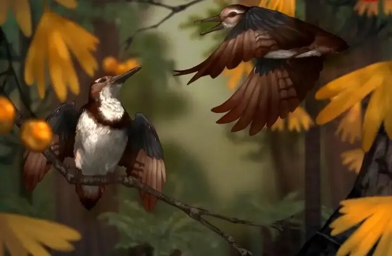 راز پرنده ۱۲۰ میلیون ساله با ۸۰۰ سنگ در گلو | عکس