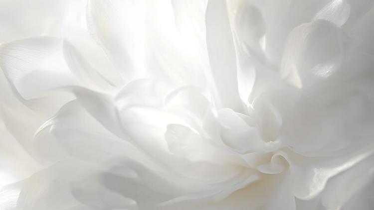 کاربردهای رنگ سال ۲۰۲۶ در دکوراسیون خانه ؛ سفید ابری را با چه رنگ‌هایی ست کنیم؟