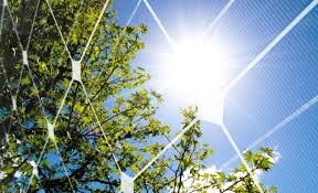 افزایش بیسابقه ظرفیت انرژیهای تجدیدپذیر در جهان