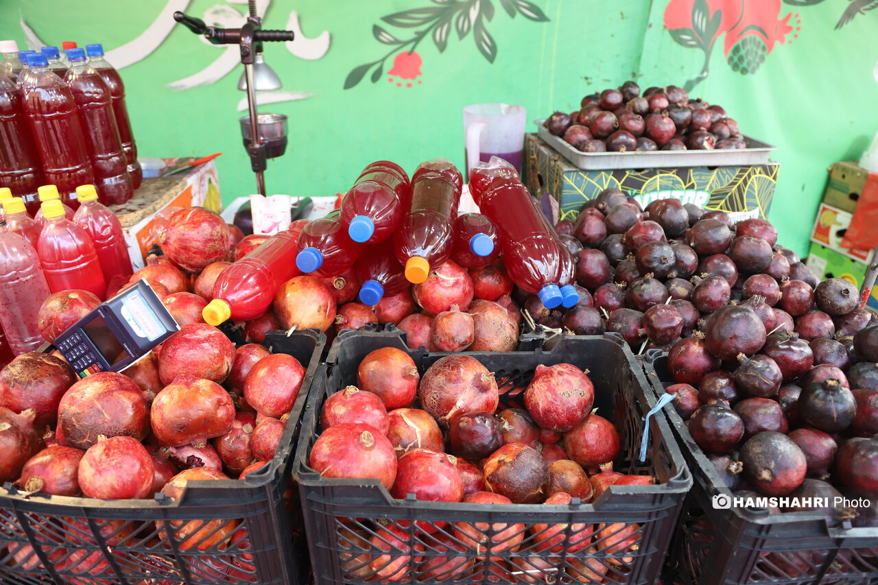 استقبال از یلدا با «صددانهیاقوت»