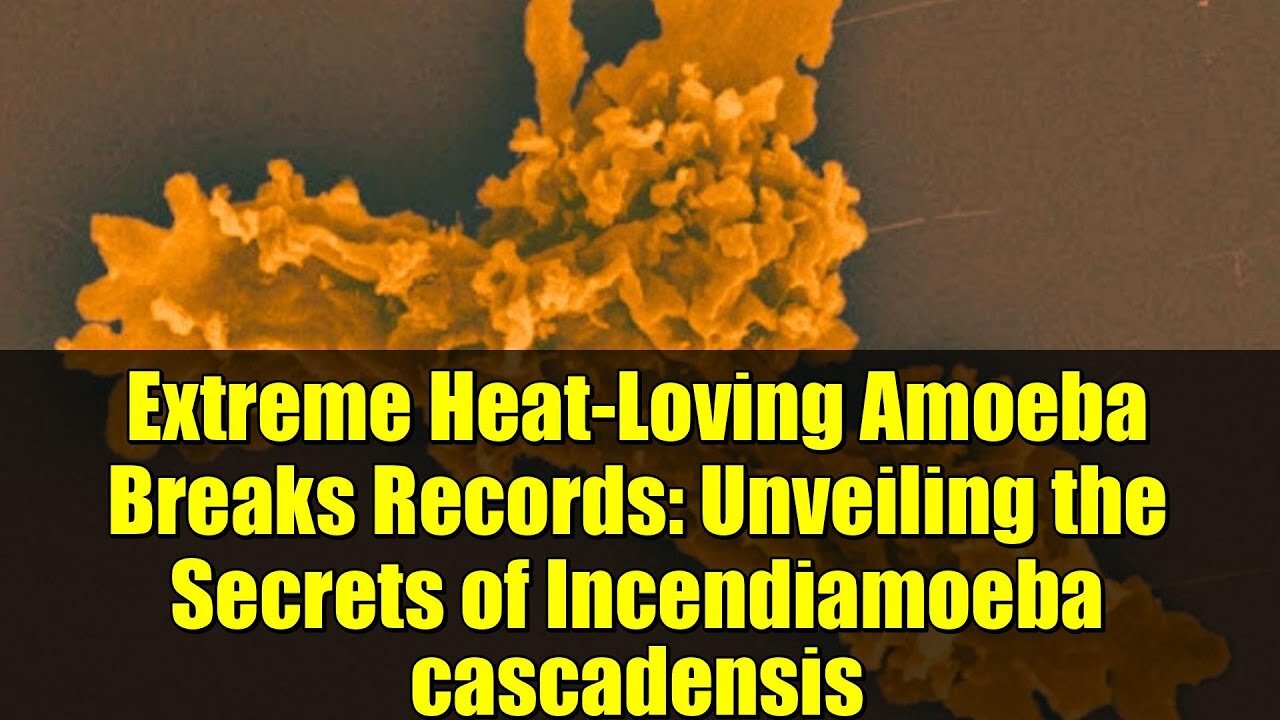 کشف معمای آمیبی که قوانین زیست را برهم  می‌زند | از داروهای مقاوم به گرما تا آنزیم‌های صنعتی پایدار
