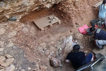 لباس چرمی ساخت نئاندرتال‌ها ۱۰۰ هزار سال قبل | عکس