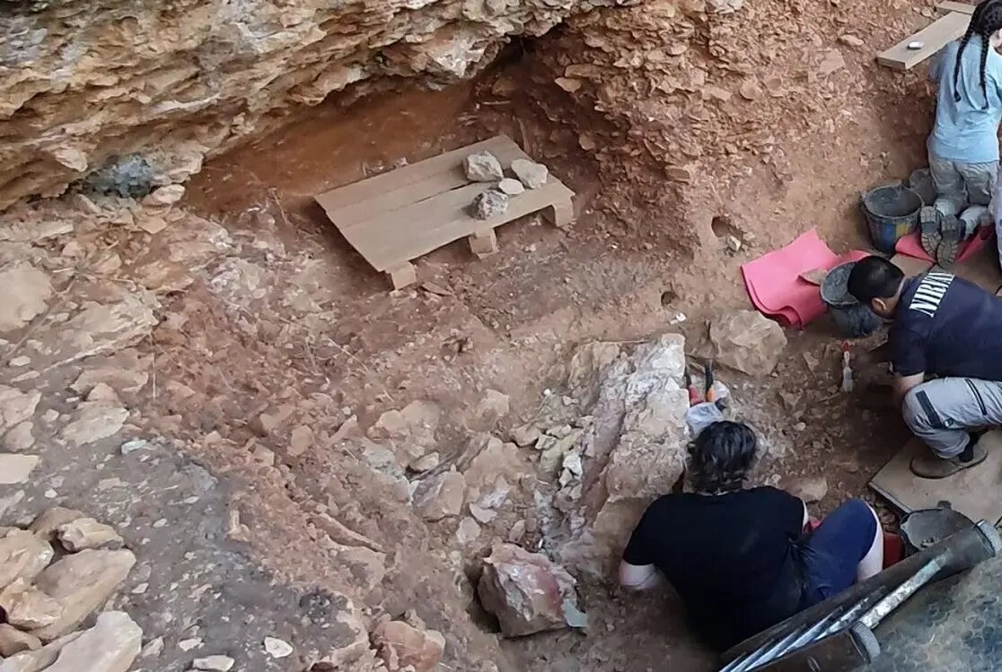 لباس چرمی نئاندرتال‌ها