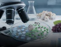 کشف داروی ضد پیری | مادهای که مثل یک متخصص تعمیرات وارد بدن میشود و قطعات فرسوده را بیرون میکشد!