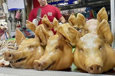 در این نقطه از جغرافیا کلهپاچه گوزن و شتر میخورند