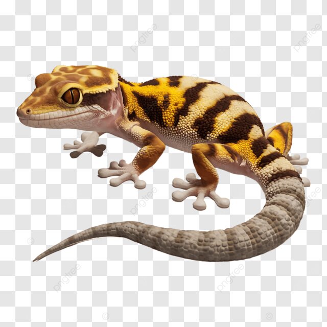 حیوانات عجیب در خانه ایرانی ها | انتخاب حیوان خانگی سلیقه‌ ای نیست | جنگ آینده جنگ ژن‌ هاست