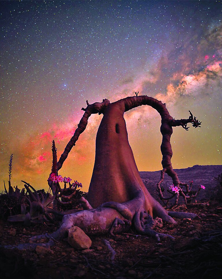 خیرهکنندهترین مناظر سال۲۰۲۵ از نگاه عکاسان