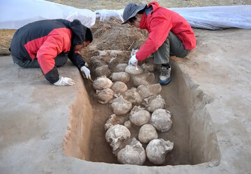 عکس گودال جمجمه‌ها؛ ۴ هزار سال قبل سرهای مردان قربانی اینجا دفن می‌شد