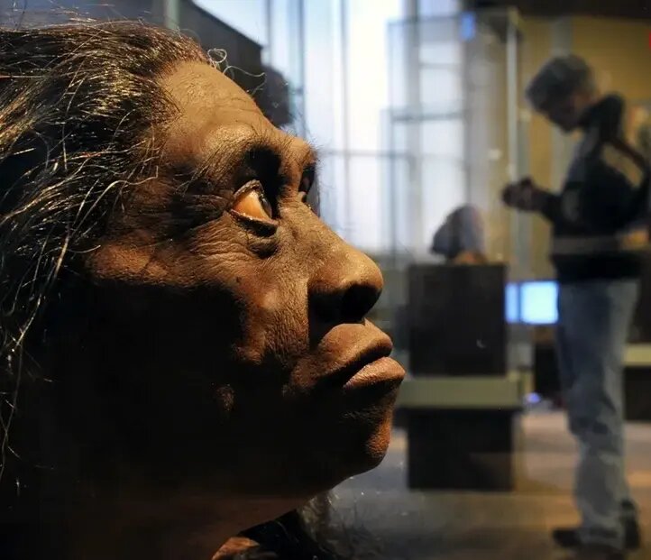 نظریه جدید درباره علت انقراض «هابیتها»