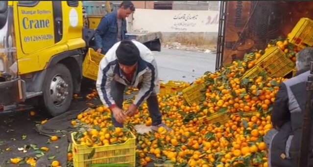 این جاده پرتقالی شد! | ویدئو