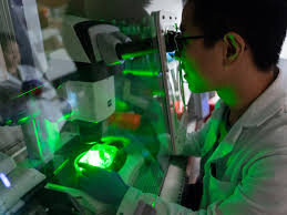 مغزهای کوچک آزمایشگاهی