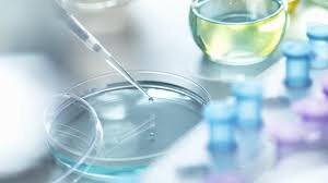 5286024.jpg?ts=1765364700000