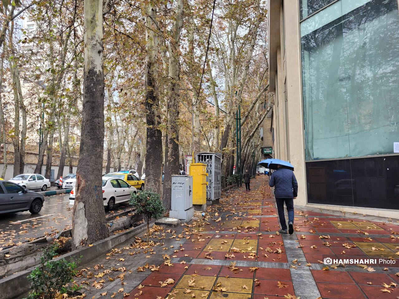 بارش سنگین در راه جنوب کشور | در این استان ها زنجیر چرخ داشته باشید