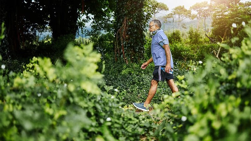 کدامیک برای سلامت بهتر است: پیادهروی شمالی یا ژاپنی؟