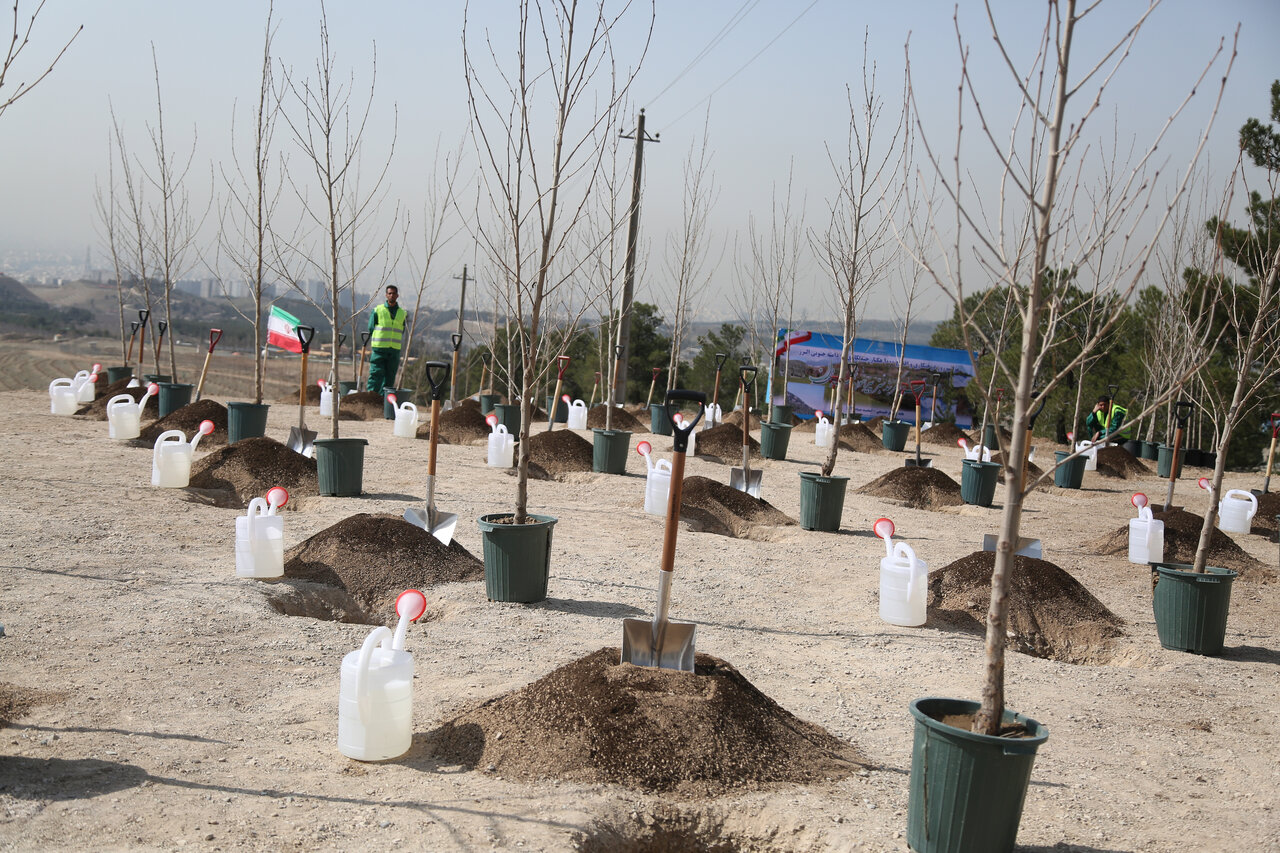 پویش در سایه مادر در بوستان فاطمی تهران