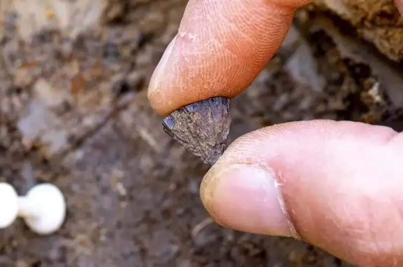 آتش ۴۰۰ هزار سالهای که انسانهای منقرضشده برافروخته بودند