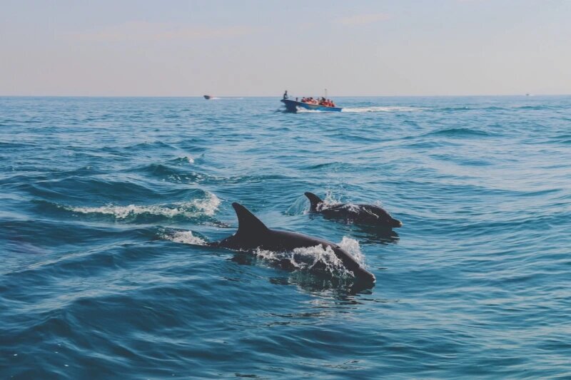 جزیره وارمی و بازی جزر و مد؛ سفر به جایی که همیشه نیست!