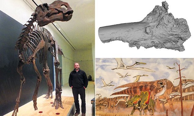 یک  کشف  شگفت‌انگیز  از جمجمه کمیاب «دایناسورهای نسل جدید»