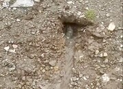 تصاویر خروج ناگهانی آب از دل زمین در این شهر ایران پس از بارندگی‌ها