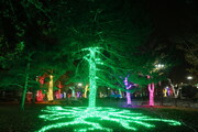 جشنواره نور پایتخت  در بوستان ملت