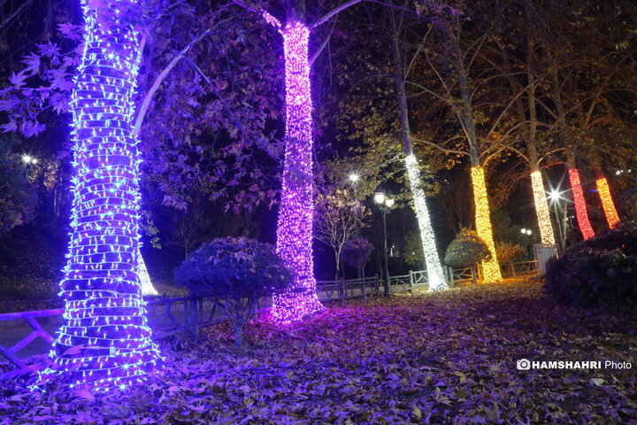 جشنواره نور پایتخت  در بوستان ملت