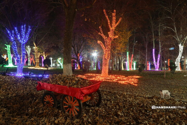 جشنواره نور پایتخت  در بوستان ملت
